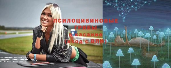 стаф Беломорск