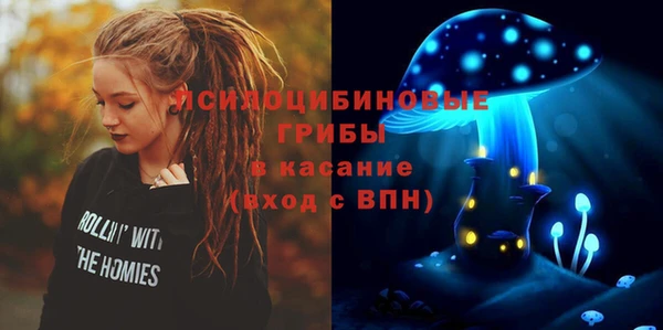 стаф Беломорск