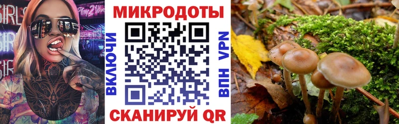 наркотики  мега онион  Галлюциногенные грибы Psilocybine cubensis  Красный Холм 